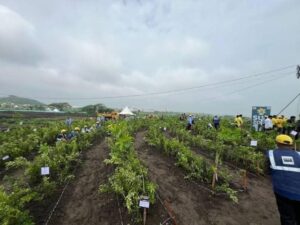 Smart Agriculture Initiative